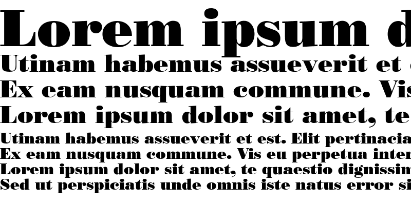 Sample of Bodoni Poster SSi Sample of Bodoni Poster SSi