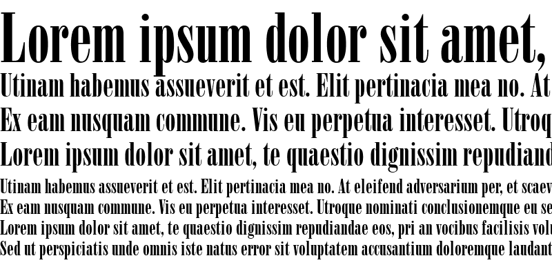 Sample of Bodoni PosterCompressed Sample of Bodoni PosterCompressed