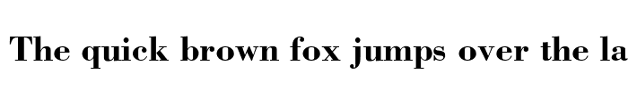 Preview of Bodoni SSi Bold