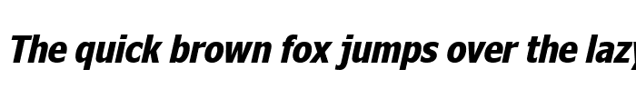 Preview of Nina Bold Italic